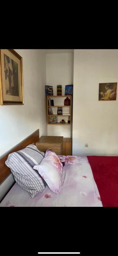 Central Apartment Sofya Dış mekan fotoğraf