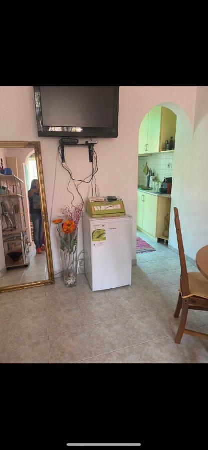 Central Apartment Sofya Dış mekan fotoğraf
